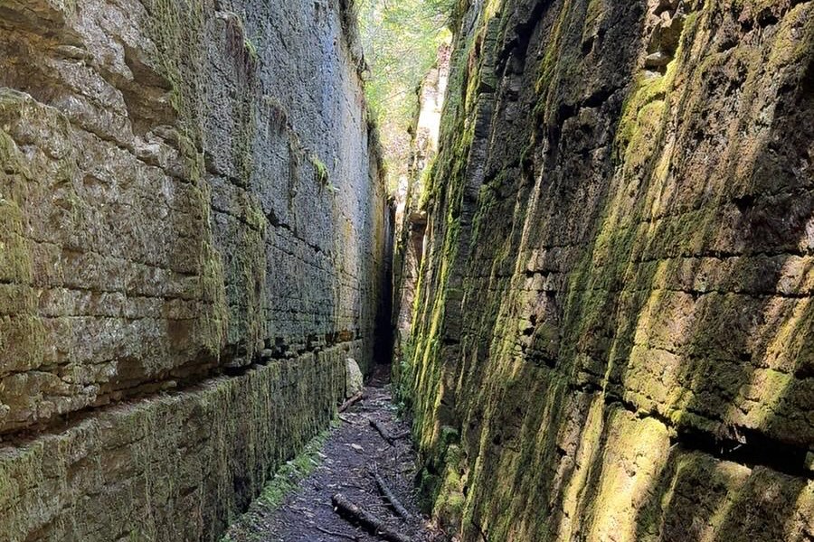 Two spots just opened up for the full day Matheson Island Kayak Tour on Saturday, August 30th. Looks to be a beautiful day in a very unique, rugged, gorgeous, and historically rich part of Manitoba. Reach out to prairieseakayak@gmail.com to find out more. Previous lake paddling experience required. See you on the water!