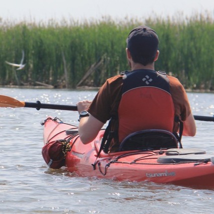 For those of us who have spent some time on Willow Creek, including many of you, we have finally received the news we've been advocating for. While at first sidestepped, it has been announced that there will in fact be a public hearing on the proposed sewage treatment lagoon up river that would dispatch directly into Willow Creek. The Creek has been taking care of us and the Lake for so long. Now it's time for us to take care of her. When the date for the hearing is announced, I'll share that here. Every voice matters on this one.